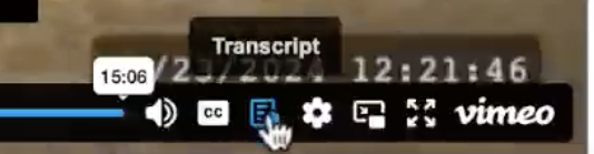 Close-up of the Vimeo player control bar with the mouse cursor clicking the "Transcript" icon, which is highlighted in blue.