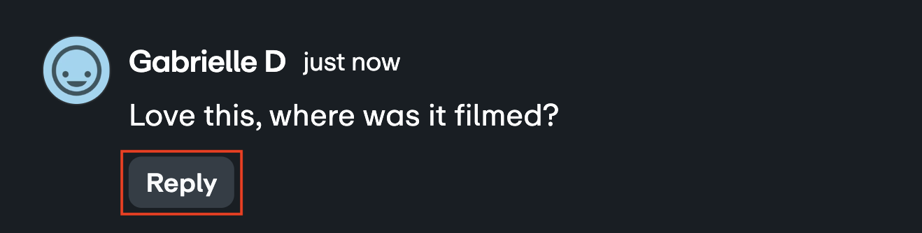 Single comment showing the Reply option located below the comment text.