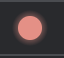 Round, red record button (actively recording).