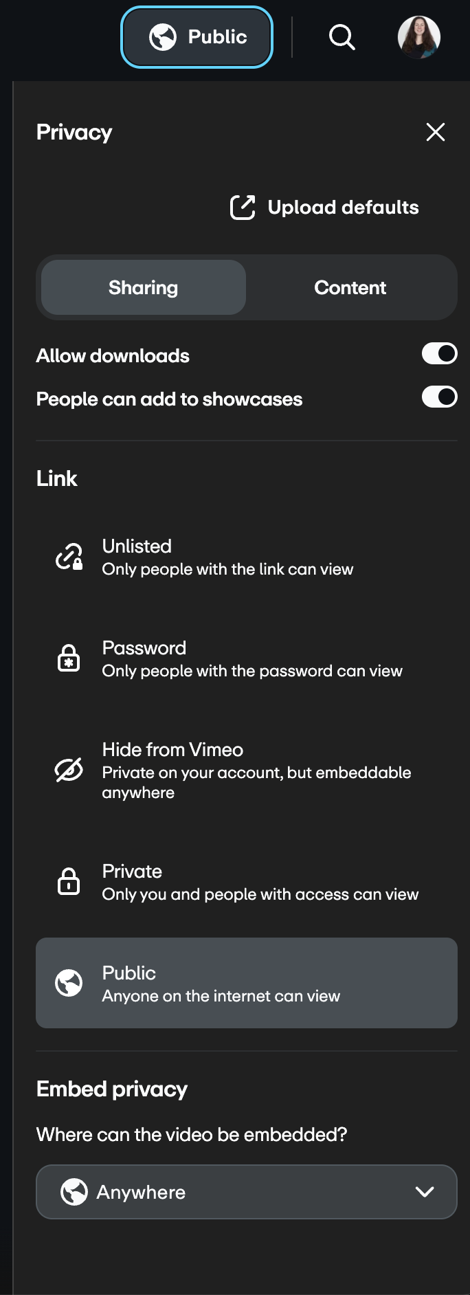 Panneau de confidentialité de la vidéo sur la page des paramètres vidéo